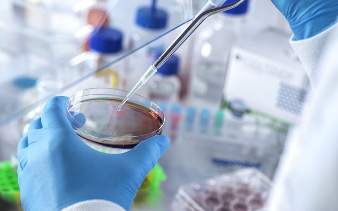 Is a Phlebotomist the Same as a Medical Lab Assistant?